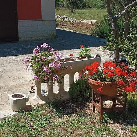 Casa Alle Vigne Polignano a Mare Dış mekan fotoğraf