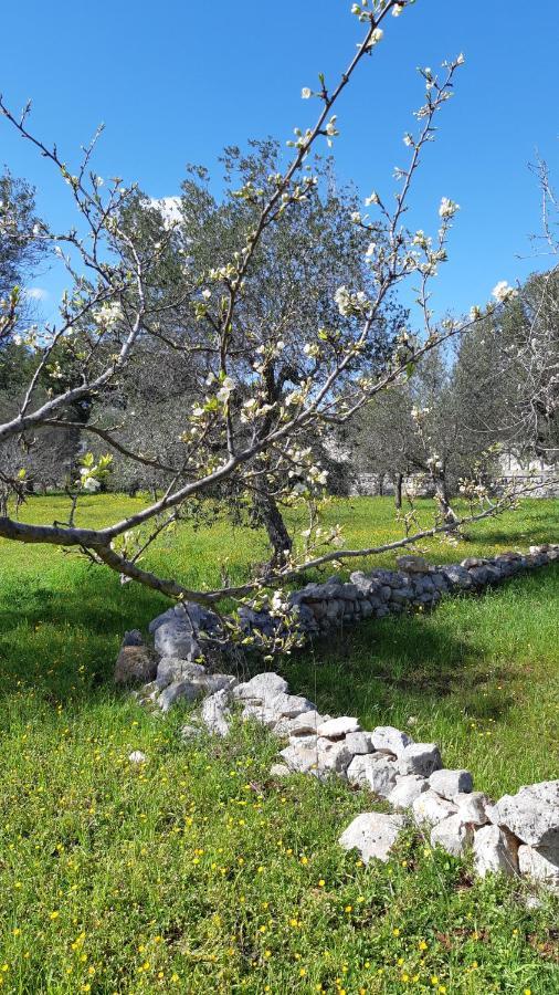 Casa Alle Vigne Polignano a Mare Dış mekan fotoğraf