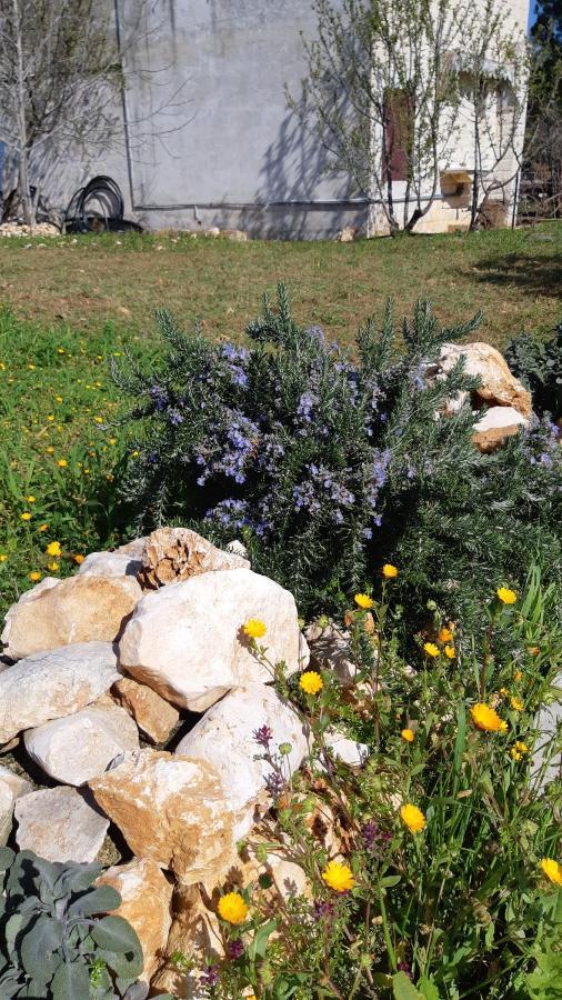 Casa Alle Vigne Polignano a Mare Dış mekan fotoğraf