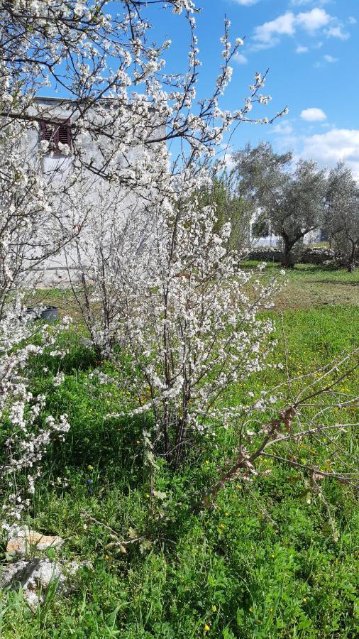 Casa Alle Vigne Polignano a Mare Dış mekan fotoğraf
