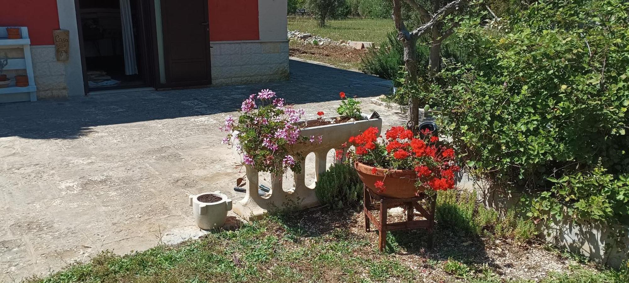 Casa Alle Vigne Polignano a Mare Dış mekan fotoğraf
