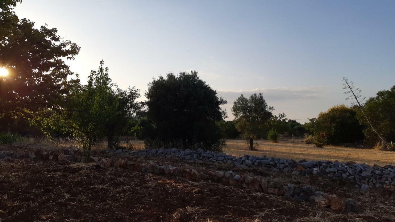 Casa Alle Vigne Polignano a Mare Dış mekan fotoğraf