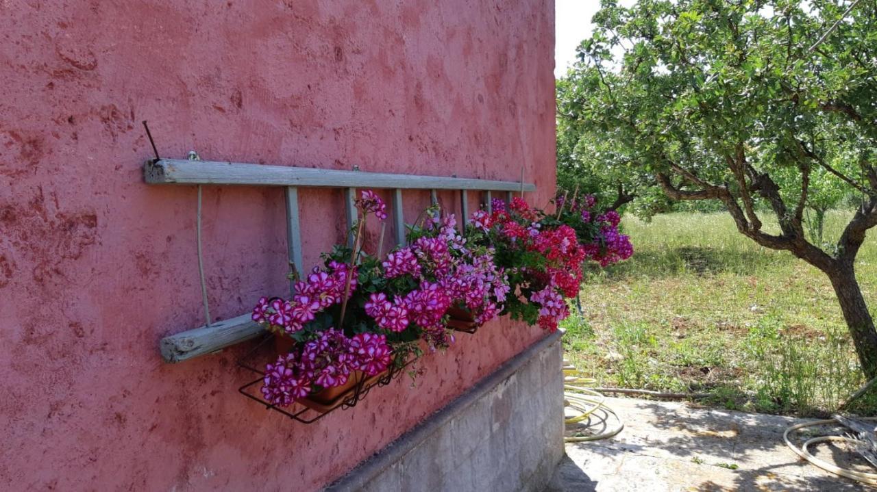 Casa Alle Vigne Polignano a Mare Dış mekan fotoğraf